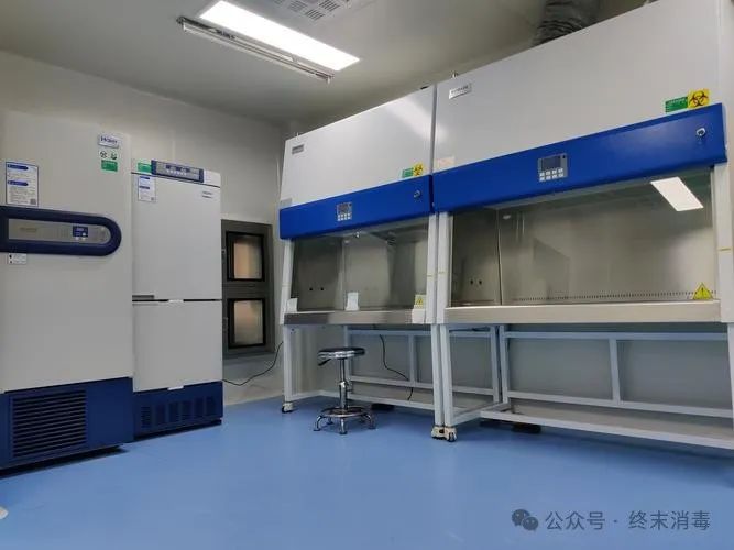生物安全柜如何进行终末消毒