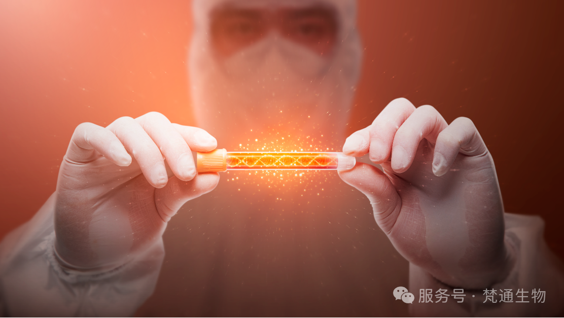 微信图片_20250225112311.png